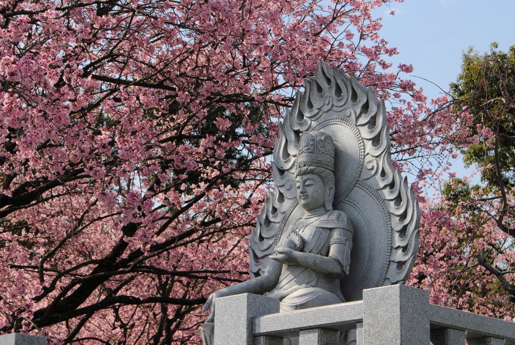 🌸 해수산 만복사 밀장원(카이주산 만푸쿠지 미츠조인) 이미지 10